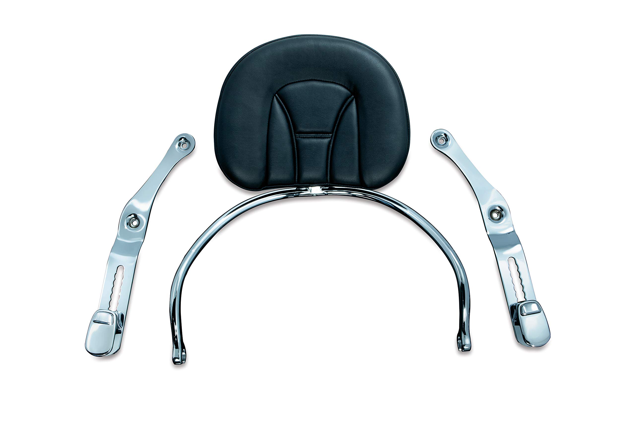 Amazon.com: Kuryakyn 8930 Motorcycle Accessory: Revolution Driver
